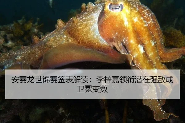 安赛龙世锦赛签表解读：李梓嘉领衔潜在强敌成卫冕变数