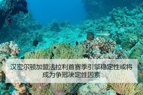 han-mi-er-dun-jia-meng-fa-la-li-shou-sai-ji-yin-qing-wen-ding-xing-huo-jiang-cheng-wei-zheng-guan-jue-ding-xing-yin-su-2-612.jpg